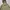 Vintage Burberry Coat Nova Check photo 3