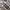 Levi's Streetwear Casual Casual shirt Pria white gray photo 2