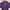 Flower Purple Longsleeve