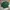 Ben Davis Streetwear T-shirt Pria green photo 1