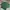 Ben Davis Streetwear T-shirt Pria green photo 4