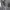 navy trench coat photo 4