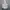 Windbreaker jacket adidas  photo 1