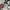 Gucci Luxury T-shirt Pria white photo 8
