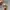 nike air jordan zion 2pf photo 1