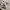 boxy 8seconds boxy
big pocket photo 6