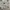 boxy 8seconds boxy
big pocket photo 5