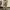 Lord John Grey, One Tuck Trouser Poplin Brown 32/34 photo 2