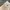 Nautica, City Boy Pleated Heavy Twill Beige 30/32 photo 6