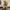 Nautica, City Boy Pleated Heavy Twill Beige 30/32 photo 4