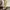 Nautica, City Boy Pleated Heavy Twill Beige 30/32 photo 2