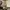 Nautica, City Boy Pleated Heavy Twill Beige 30/32 photo 3