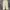 Nautica, City Boy Pleated Heavy Twill Beige 30/32