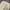Nautica, City Boy Pleated Heavy Twill Beige 30/32 photo 7