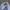 47 Brand Gorpcore Avant Garde Hat Pria navy photo 4