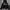 HOODIE CHMB (PILS) photo 1