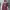 Champion Streetwear Vintage Sweatshirt Pria burgundy photo 1