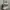 Longchamp Vanity XS Le Pliage photo 3