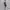 nike tech fleece old season second  photo 6