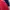 Adidas Vintage Casual Jumper Pria white navy red photo 5