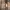Vintage burberry burberrys harington jacket photo 5