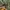 jacket mont-bell thiesulate japan green photo 6