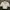 Summer Top Lengan Balon Crop Top White Coquette Lolita  photo 2