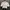 Summer Top Lengan Balon Crop Top White Coquette Lolita  photo 1