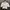 Summer Top Lengan Balon Crop Top White Coquette Lolita 