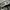 (67/8) Topi New Era Tampa Bay Pro Model Vintage photo 7