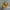(Rare) Topi Pokemon Charizard Official Merch