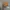 (Rare) Topi Pokemon Charizard Official Merch photo 5