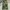 CARGO CAMO PANTS Y2K BAGGY WOODLAND M180 photo 2