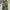 CARGO CAMO PANTS Y2K BAGGY WOODLAND M180