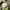 CARGO CAMO PANTS Y2K BAGGY WOODLAND M180 photo 6