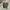 CARGO CAMO PANTS Y2K BAGGY WOODLAND M180 photo 1