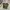 CARGO CAMO PANTS Y2K BAGGY WOODLAND M180