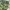 CARGO CAMO PANTS Y2K BAGGY WOODLAND M180 photo 4