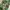 CARGO CAMO PANTS Y2K BAGGY WOODLAND M180 photo 5