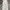 CARGO PANTS CANVAS Y2K BAGGY GROVE BROKEN WHITE