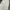CARGO PANTS CANVAS Y2K BAGGY GROVE BROKEN WHITE photo 4