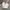 CARGO PANTS CANVAS Y2K BAGGY GROVE BROKEN WHITE photo 1