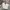 CARGO PANTS CANVAS Y2K BAGGY GROVE BROKEN WHITE
