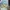 blindbox upsetduck photo 1