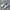 Adidas Casual Sneakers Wanita white blue photo 1