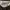 Garmin X Oatside photo 3