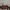 Ray Ban Luxury Biker Sunglass Pria gold black photo 4