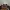Ray Ban Luxury Biker Sunglass Pria gold black photo 3