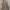 rok lilit vintage ethnic label photo 1