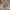 rok lilit vintage ethnic label photo 4